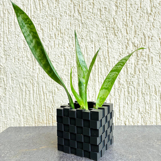 Mini Black Planter for Desk and Table| 3D Planter | Succulent planter | Minimalist Planter | Square Planter